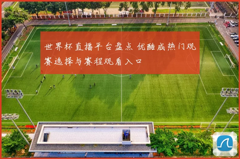 世界杯直播平台盘点 优酷成热门观赛选择与赛程观看入口